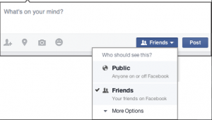 Figure 3. Post Visibility Options in Facebook