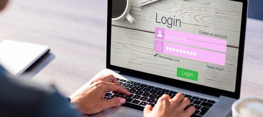 Person Setting Password Security-Conscious Password Behavior from the End-User’s Perspective ...